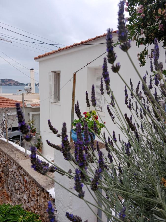 George Traditional House Apartamento Pylos Exterior foto